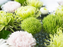 追悼コラム　イメージ