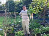 春大根の収穫イメージ